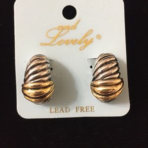 Beautiful Two Toned Clip on Earrings